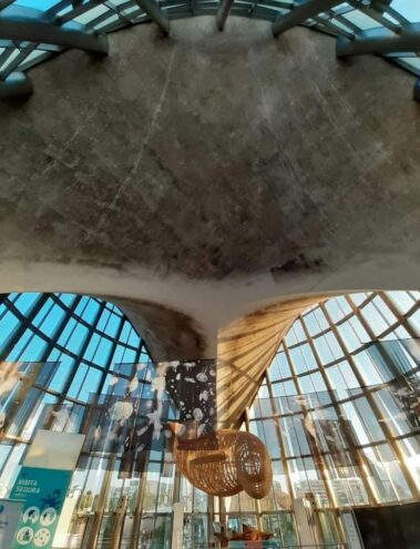Oceanográfico Valencia