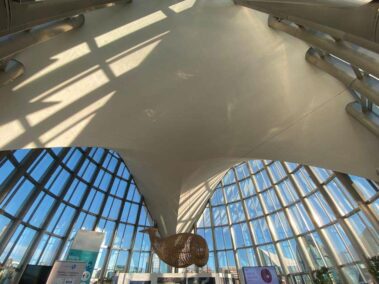 Oceanográfico Valencia