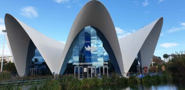 Oceanográfico Valencia