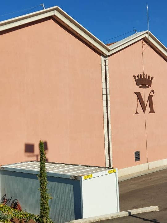 Bodega después 5